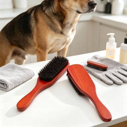 Boar Bristle Dog Brush for Short Haired Dogs, Natural Wooden Grooming Tool, Reduce Shedding, Detangle & Massage Sensitive Skin, Grooming to Calm Dogs & Build Pet Owner Bonding (Red sandalwood) - Image 6