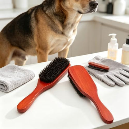 Boar Bristle Dog Brush for Short Haired Dogs, Natural Wooden Grooming Tool, Reduce Shedding, Detangle & Massage Sensitive Skin, Grooming to Calm Dogs & Build Pet Owner Bonding (Red sandalwood) - Image 6