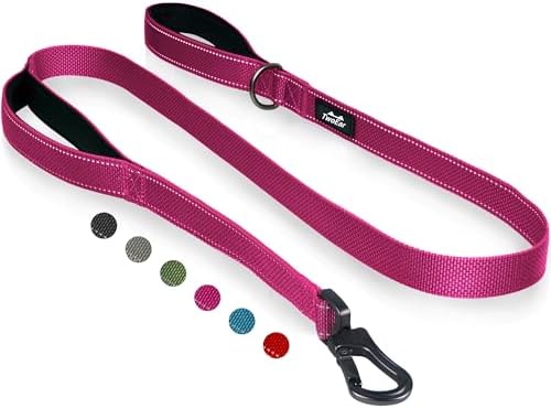 Twoear 4FT 1IN Heavy Duty Dog Leash for Large Dogs with 2 Padded Handles by TwoEar