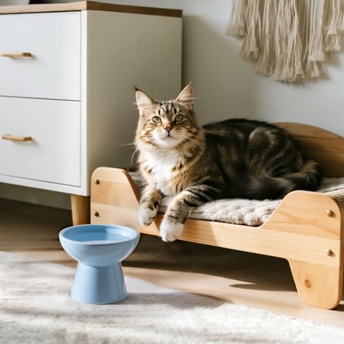 CEEFU Extra Wide Elevated Ceramic 6.2" Deeper Cat Water Bowl - Image 3