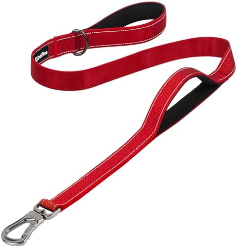 PetiFine 4FT Heavy Duty Dog Leash with Soft Padded Double Handle by PetiFine