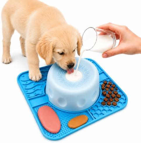 2-in-1 Lick Bowl with Rolling Ball: Slow Feeder Dog Bowl by Unknown