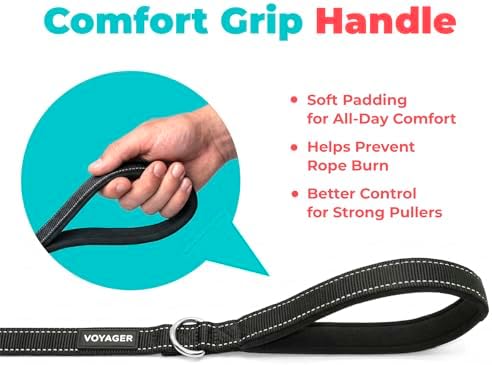 Best Pet Supplies Voyager Nylon Dog Leash - Black, Small - Image 5