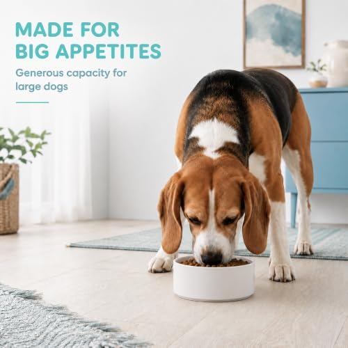 Havniva Ceramic Dog Bowls, 7.3” Dog Food and Water Bowl, Pet Feeding Bowl - Image 6