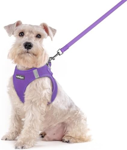 rabbitgoo Dog Harness Medium Sized and Leash Set, Step-in Puppy Pet Vest by rabbitgoo