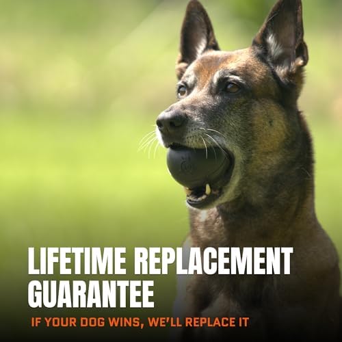 Monster K9 Scout Ball | Virtually Indestructible. Lifetime Guaranteed. | VULCRON™ Natural Rubber | Durable Dog Toy for Aggressive Chewers | Chew & Fetch | Tough, Heavy Duty | Medium & Large Breed, 3" - Image 3