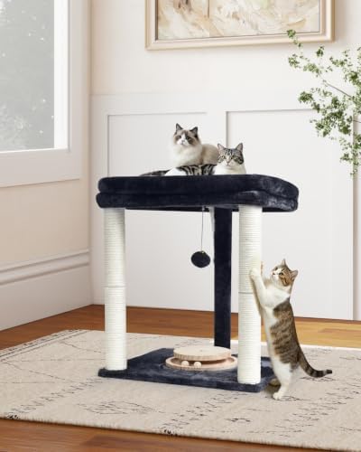 Small Cat Tree with Large Top Perch & Cat Ball Track Toy, Indoor Cat Tower - Image 5