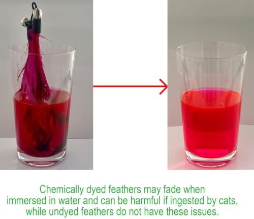 Cat Toys - No Chemical Dyeing Cat Feather Toys for Indoor Cats - Include Cat Wand and Natural Feather Refills - Image 2