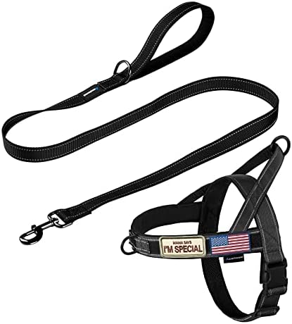 Annchwool No Pull Dog Harness with Padded Handle+5 Ft Leash,Reflective Strip Escape Proof and Quick Fit to Adjust Dog Harness,Easy for Training Walking for Small & Medium and Large Dogs(Black-Set,S) by Annchwool