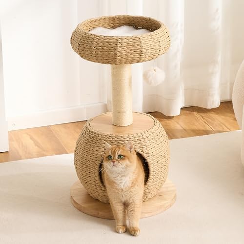 Modern Cat Tree for Indoor Small & Medium Cats, 30" H Solid Wood & Rattan Cat Tower with Handwoven Wicker Cat Bed & Cave, Ultra-Soft & Washable Cushions, Natural Sisal Scratching Posts - Image 2