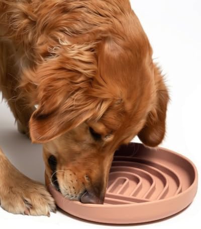 Slow Feeder Dog Bowl - Silicone Dog Bowl, Large, 9.5" x 1.5" - Blush by ShouldWeGo