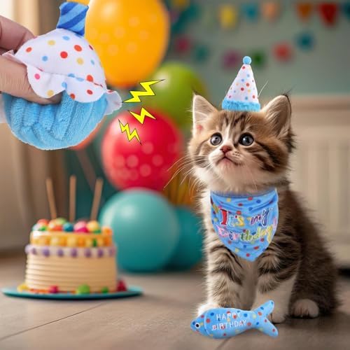 BINGPET Cat Birthday Decorations Outfit, 5 Pcs Catnip Toys for Indoor Cats - Image 6