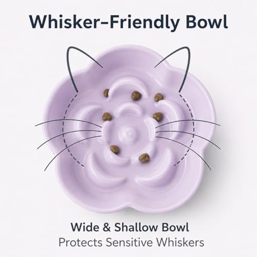Ceramic Elevated Slow Feeder Cat Bowl, Raised and Gently Tilted Feeding Dish with Maze Design, Whisker-Friendly, Easy to Clean, for Indoor Cats and Small Dogs (Yellow/Purple) - Image 4
