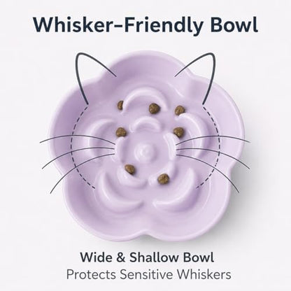 Ceramic Elevated Slow Feeder Cat Bowl, Raised and Gently Tilted Feeding Dish with Maze Design, Whisker-Friendly, Easy to Clean, for Indoor Cats and Small Dogs (Yellow/Purple) - Image 4