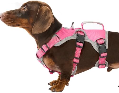 Huntboo Escape Proof Dog Harness, Dachshund Harness, Reflective Dog Harness with Handle, Durable,Adjustable Vest for Small Medium Large Dogs Walking, Training, and Running Gear (Rose red,S) by Huntboo