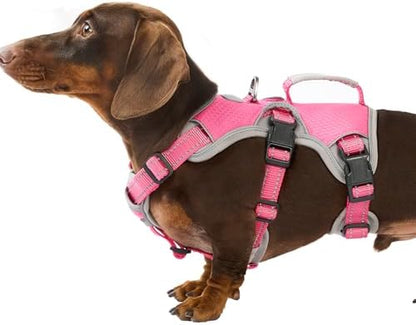 Huntboo Escape Proof Dog Harness, Dachshund Harness, Reflective Dog Harness with Handle, Durable,Adjustable Vest for Small Medium Large Dogs Walking, Training, and Running Gear (Rose red,S) by Huntboo