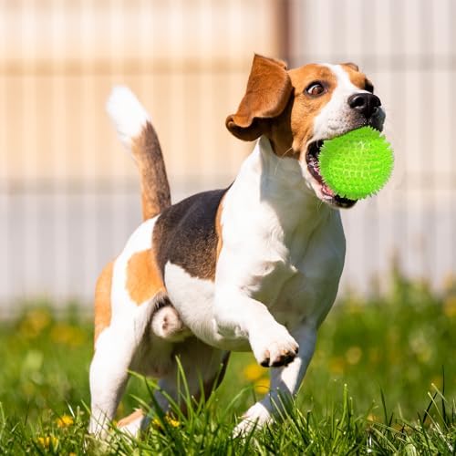 3.5” Squeaky Dog Toy Balls (6 Colors) Dog Toys Spikey Dogs Ball for Aggressive Chewers Heavy Duty Teething Large Medium Durable Dogs Balls - Image 5