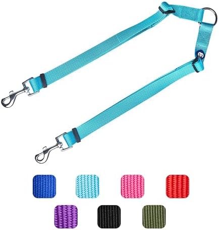 Blueberry Pet Essentials Durable Classic Double Dog Leash Coupler, Turquoise, Small, Dual Walking & Training Leashes for Two Dogs - Image 6