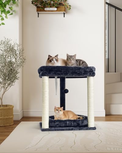 SYANDLVY Small Cat Tree for Indoor Cats with 2 Levels Perch Platforms - Image 2