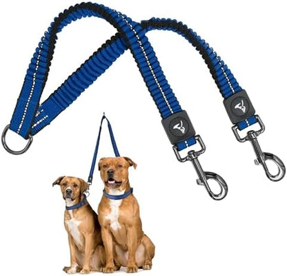 Kruz Double Dog Leash for Two Dogs (Width - ¾”, Length 17”-34”) Dual Leash Coupler with Tangle-Free Swivel, Shock-Absorbing Reflective Bungee for Comfortable Walking & Training (Blue, Medium) by KRUZPET