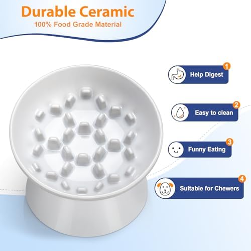 Ceramic Slow Feeder Cat Bowl, 2 Cups Tilted Elevated Honeycomb Food Dish - Image 3
