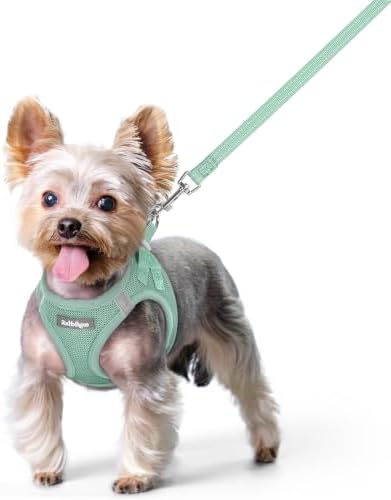 rabbitgoo Dog Harness Small Sized and Leash Set, Step-in Puppy Pet Vest by rabbitgoo