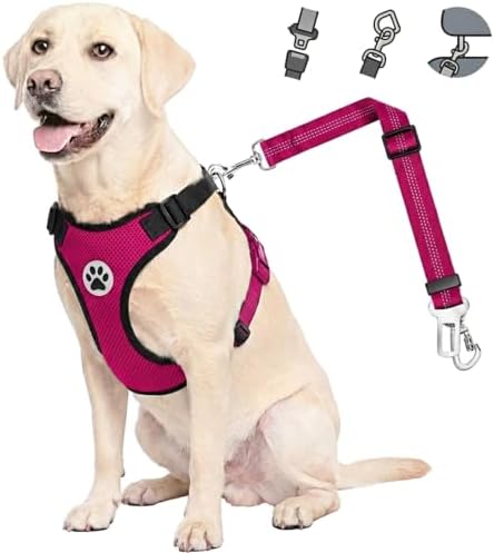 Lukovee Dog Car Harness Seat Belt, Harness & Seatbelt with 2 in 1 Buckle by Lukovee