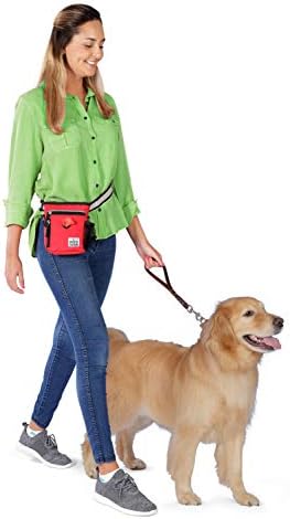 Mobile Dog Gear, Small Dog Walking Bag, Day or Night Reflective, 6 x 7 Inches - Image 6