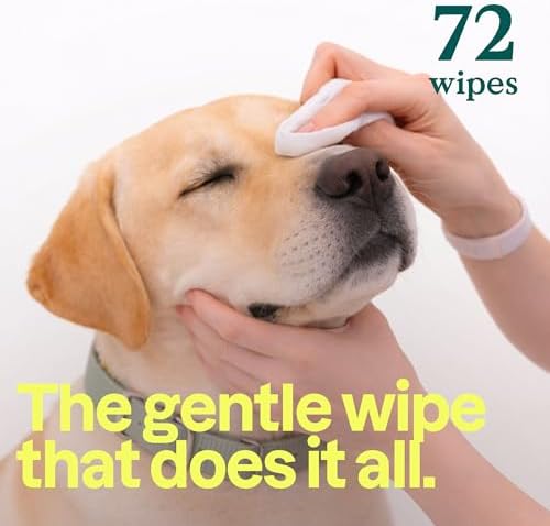 ATTITUDE Pet Wipes for Dogs & Cats, 99% Water, EWG Verified, Gentle & Unscented Cleaning Wipes for Paws, Ears, Face & Body, Deodorizing, Safe for Puppies & Kittens, 72 count - Image 3