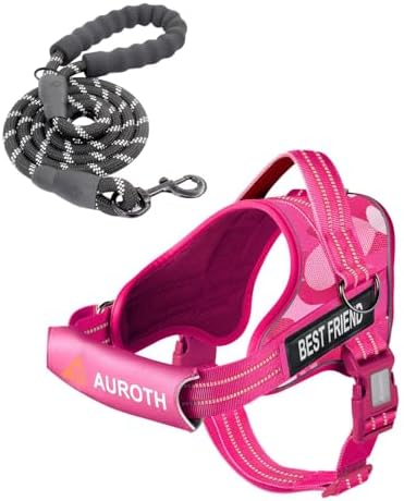 AUROTH Dog Harness and Leash Set for Medium Sized Dog, No Pull Dog Vest by AurothPets
