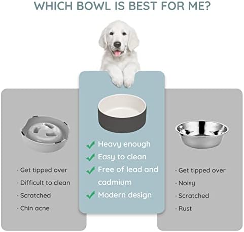 SPUNKYJUNKY 13.5OZ Ceramic Dog and Cat Bowl, Modern Cute Weighted Food Water Bowl for Replacement White-Grey (1 Pack) - Image 4