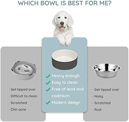 SPUNKYJUNKY 13.5OZ Ceramic Dog and Cat Bowl, Modern Cute Weighted Food Water Bowl for Replacement White-Grey (1 Pack) - Image 4