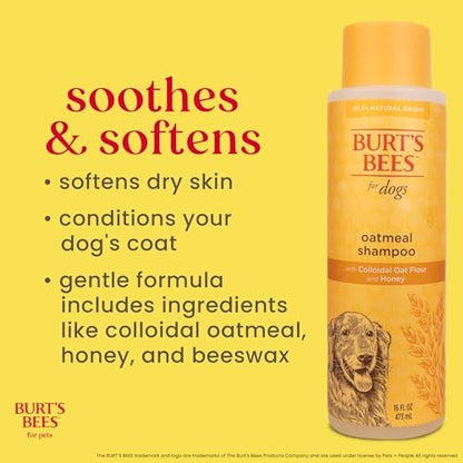 Burts Bees for Pets Oatmeal Dog Shampoo with Honey, Unscented, 16 Fl Oz - Image 5