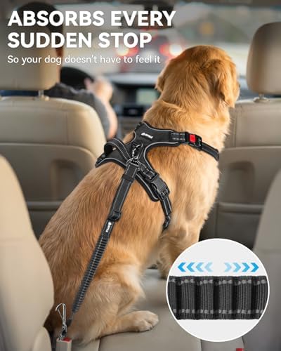 Joytale 3-in-1 Bungee Dog Seat Belt for Car, Medium and Large Dogs, Black - Image 3