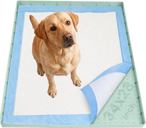Dog Pee Pad Holder & Cat Litter Mat, L 34'' × 28'', Waterproof Floor Silicone Mat for Pets, Easy to Clean, Soft on Paws (Mint Green) by Aothey