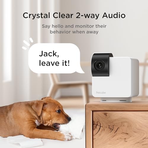 Petcube Cam and Cam 360 Bundle, 1080p HD Video, Night Vision, Two-Way Audio, Sound and Motion Alerts, Cat and Dog Monitor - Image 6