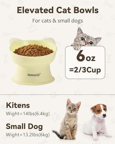 MateeyLife Elevated Cat Bowls, 2P Raised Food and Water Bowl Set for Indoor Cats & Small Dogs, Whisker Fatigue Cat Bowl, Anti Vomit Feeding Pet Bowls, 6 oz Each, Dishwasher Safe - Blue & Yellow - Image 6