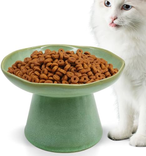 VCEPJH Raised Cat Food Bowls Shallow Cat Plate Ceramic Elevated Cats Dish 6.1in Flat Anti Whisker Fatigue Wide Pet Food & Water Feeder for Indoor Kitty Kitten (Green) by VCEPJH