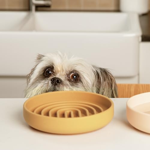 Slow Feeder Dog Bowl - Silicone Dog Bowl, Small, 6" x 1.25" - Honey - Image 3
