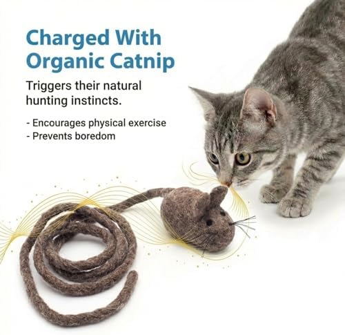 Glaciart One Felt Mouse Cat Toy – Soft Fuzzy Enrichment 100% Natural Wool - Interactive Catnip Play Cat Toy Set - Safe for Pets, Non-AZO Colored Dyes - 100” Long - Image 6