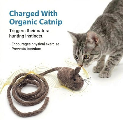 Glaciart One Felt Mouse Cat Toy – Soft Fuzzy Enrichment 100% Natural Wool - Interactive Catnip Play Cat Toy Set - Safe for Pets, Non-AZO Colored Dyes - 100” Long - Image 6