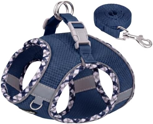 AIITLE Escape-Proof Dog Harnesss and Leash Set, Navy-Blue, L by AIITLE-FORPETSBETTERLIFE