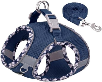 AIITLE Escape-Proof Dog Harnesss and Leash Set, Navy-Blue, L by AIITLE-FORPETSBETTERLIFE