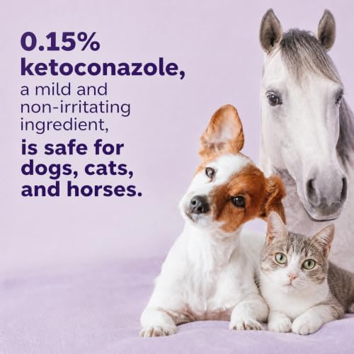 Ear Flush for Dogs, Cats and Horses, 0.15% Ketoconazole - Image 3