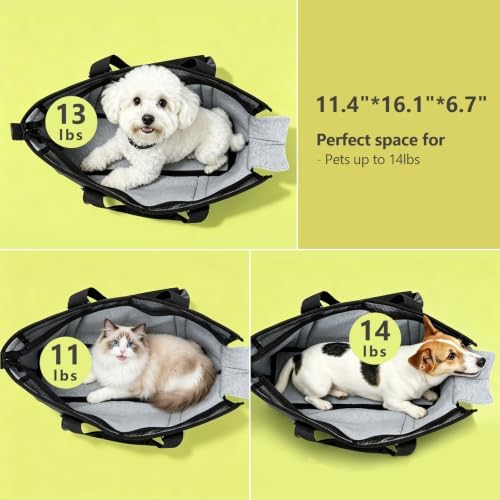 Ownpets Small Dog Pet Purse Carrier for Travel Vet Shopping, Up to14 lbs - Image 2