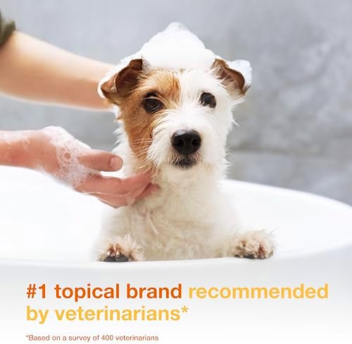Douxo S3 PYO Medicated Dog Shampoo with 3% Chlorhexidine for Dogs – Antibacterial & Antiseptic Yeast Infection Treatment For Dogs & Cats, Clinically Proven, 6.7 fl oz - Image 3