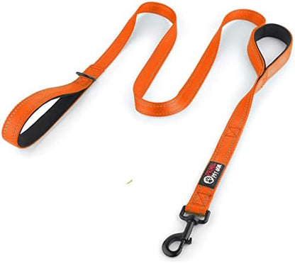 Primal Pet Gear Dog Leash 6ft Long,Traffic Padded Two Handle,Heavy Duty,Reflective Double Handles Lead for Control Safety Training,Leashes for Large Dogs or Medium Dogs,Dual Handles Leads(Orange) by PrimalPetGear