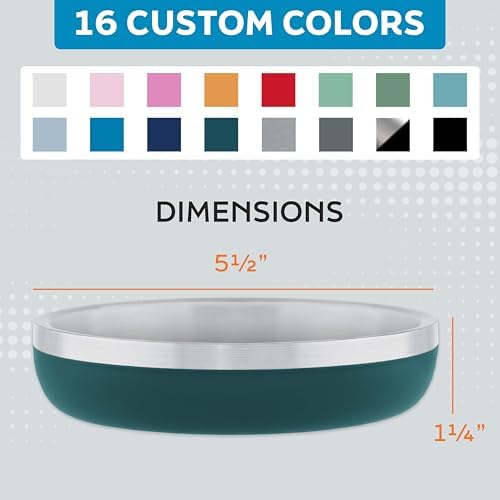 Master Pet Supply Stainless Steel Cat Bowls 9 oz Heavy Duty Emerald Sea - Image 5
