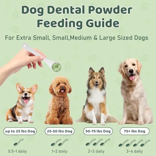 Dog Teeth Cleaning Powder, Dog Dental Powder, Dog Dental Care, Targets Tartar & Bad Breath & Reduces Plaque, Dental Powder for Dog Teeth Cleaning, Green - Image 4