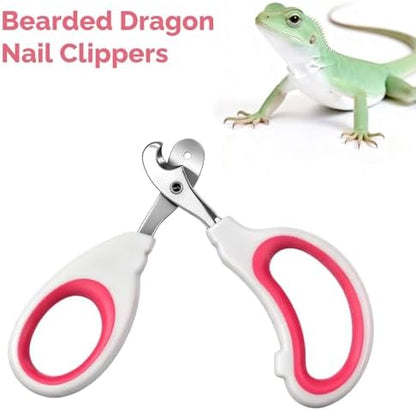 Stainless Steel Bearded Dragon Nail Clippers, Professional Reptile Grooming Tool with Precise Angled Edge, Small Animal Nail Clippers, Cat Nail-Clipper, Claw Trimmer for Birds, Cat, Dogs (Red) - Image 4